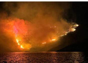 Пожар в Греции: на чьей стороне казахстанские СМИ