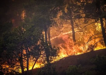 Задержанных граждан Казахстана нет — МИД РК об истории с поджогом острова в Греции