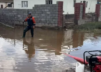 Началась оценка ущерба от наводнения в Жамбылской области