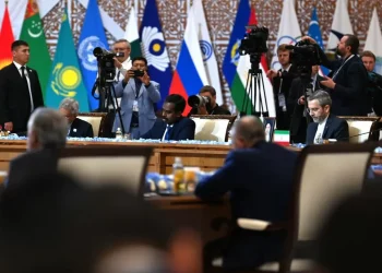 Насколько эффективна деятельность ШОС? Мнения экспертов