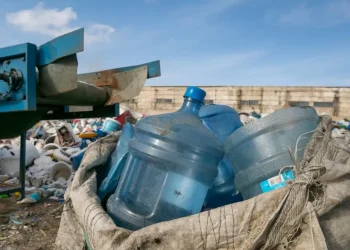 Переработка мусора в Казахстане: сколько проектов предварительно одобрено