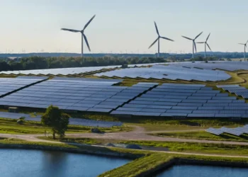 Почти в 4 раза вырос объем инвестиций в «зеленую» экономику в Казахстане