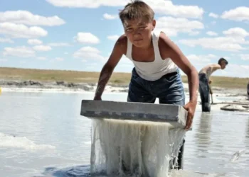 Фильм «Бауырына салу» получил еще одну международную награду