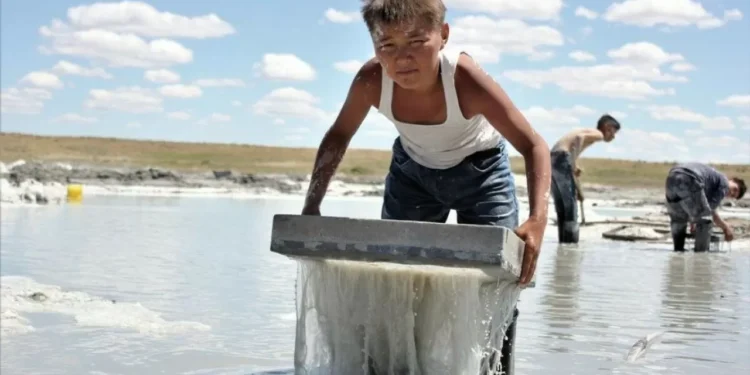 Фильм «Бауырына салу» получил еще одну международную награду