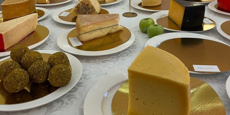 Международный конкурс сыров «Cheese Open-2024» проходит в Актау