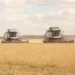 Пришли к рекорду: лучший урожай за 11 лет собрали в Карагандинской области