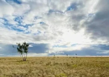 Земельные участки использовались не по назначению более трех лет в Акмолинской области