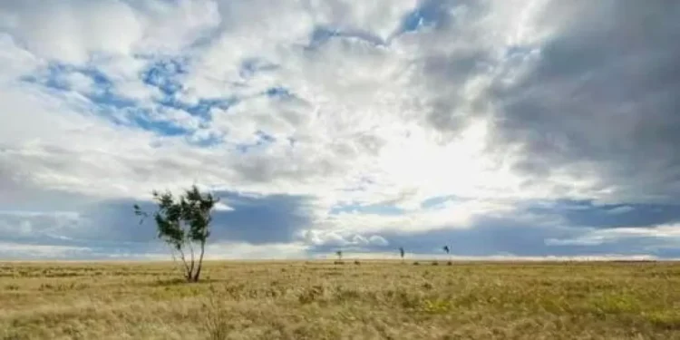 Земельные участки использовались не по назначению более трех лет в Акмолинской области