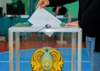 Объявлены предварительные итоги референдума по АЭС