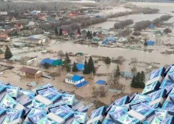 Что осложняет развитие благотворительности в Казахстане и как это исправить