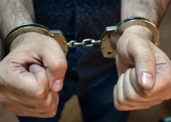 Троих японцев арестовали за сайт со спойлерами к аниме и фильмам