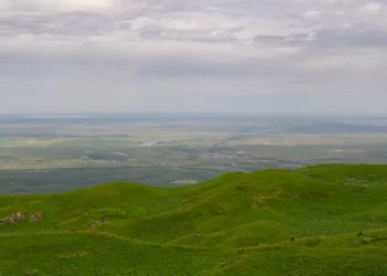 «Атамекен-Агро» использовал не все свои 441 тысячу гектаров