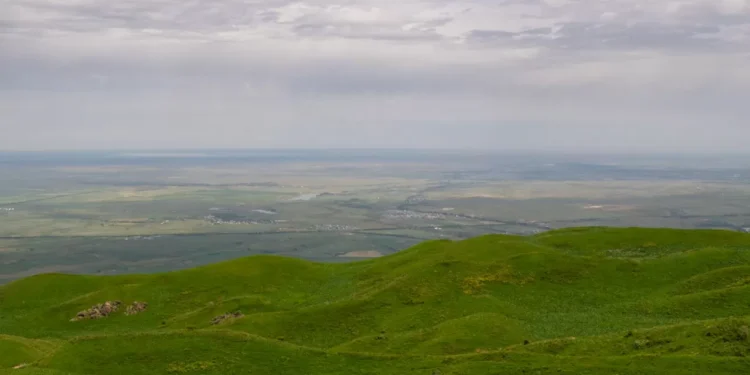 «Атамекен-Агро» использовал не все свои 441 тысячу гектаров