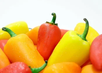 Казахстанский перец не прошел границу: Россия ужесточает фитоконтроль