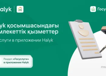 Роль Halyk в глобальном рейтинге: Казахстан обогнал Японию в онлайн-услугах