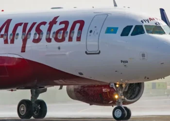 Пассажирский самолет врезался в стаю птиц в аэропорту Уральска