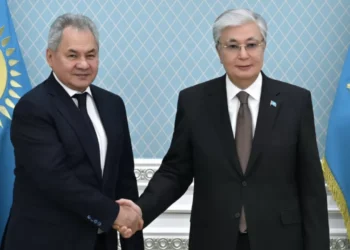 Токаев обсудил региональную безопасность с Шойгу