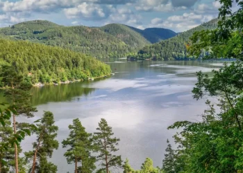 Ситуация на водохранилищах Казахстана: данные на 7 апреля