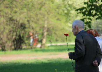 Как поддержат ветеранов ВОВ в год 80-летия Победы