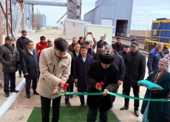 В Мангистауской области возобновил работу зерновой терминал