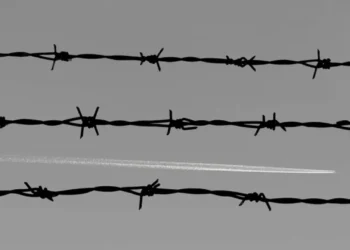 Пять стран НАТО готовы разместить миллионы мин вдоль границ с Россией