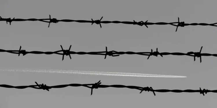 Пять стран НАТО готовы разместить миллионы мин вдоль границ с Россией