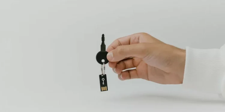 Кредиты подорожают: государственные базы данных переводят в платный режим