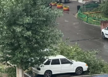 16 человек пострадали от ураганного ветра в Павлодарской области