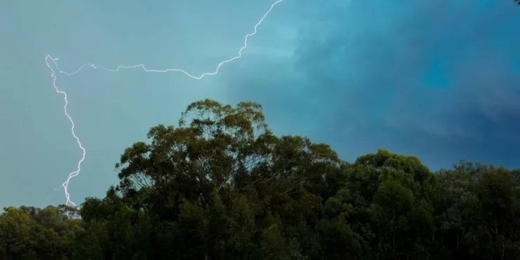 Грозы и жара: штормовые предупреждения на 19 июня в Казахстане