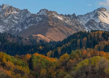 Инвестор из Вьетнама и компания Тимура Кулибаева займутся расширением курорта «Ак-Булак»