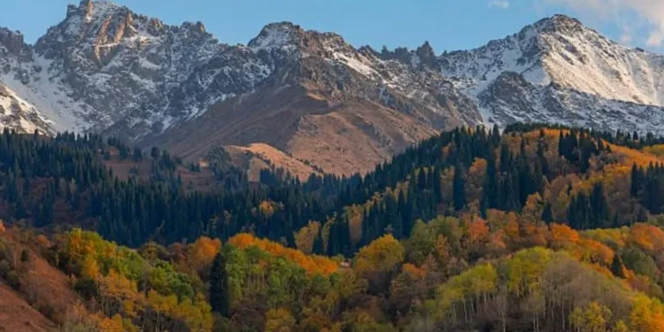 Инвестор из Вьетнама и компания Тимура Кулибаева займутся расширением курорта «Ак-Булак»