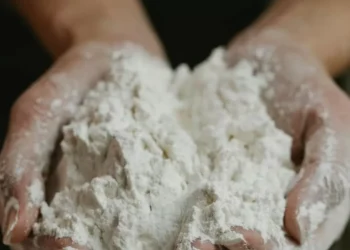 Сговора не было: суд Шымкента снял с мукомолов обвинение