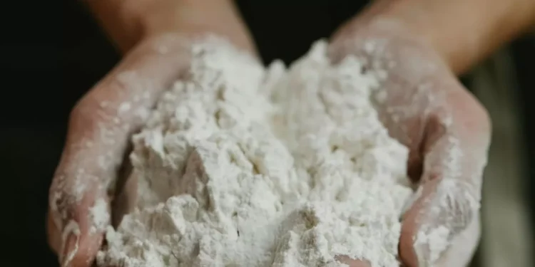 Сговора не было: суд Шымкента снял с мукомолов обвинение