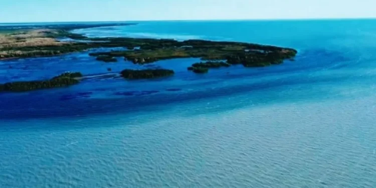 Уровень озера Балхаш существенно вырос с начала года