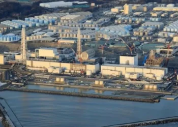 Землетрясение в России: в Японии эвакуируют сотрудников АЭС