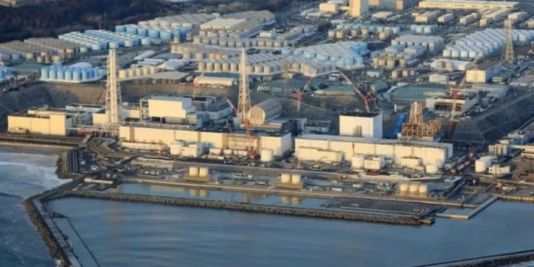 Землетрясение в России: в Японии эвакуируют сотрудников АЭС