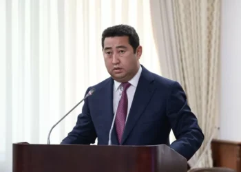 Как отразятся американские пошлины на фермерах Казахстана