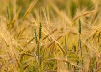 Россия потеряла важный мировой статус, которым так долго гордилась