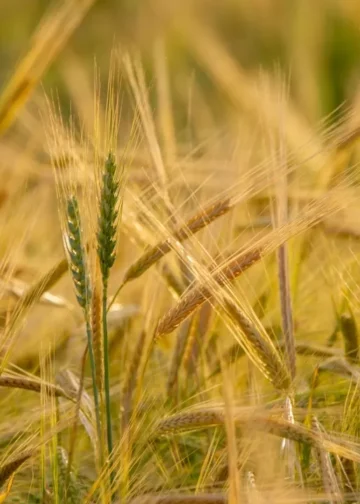 Россия потеряла важный мировой статус, которым так долго гордилась