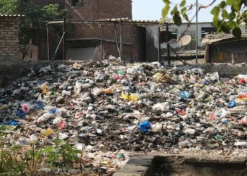 В Алматы наказали чиновников за незаконные свалки