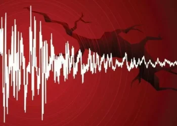 Мощнейшее землетрясение зарегистрировали казахстанские сейсмологи