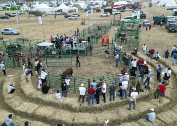 Jańa Dala-2025 соберет фермеров со всего мира