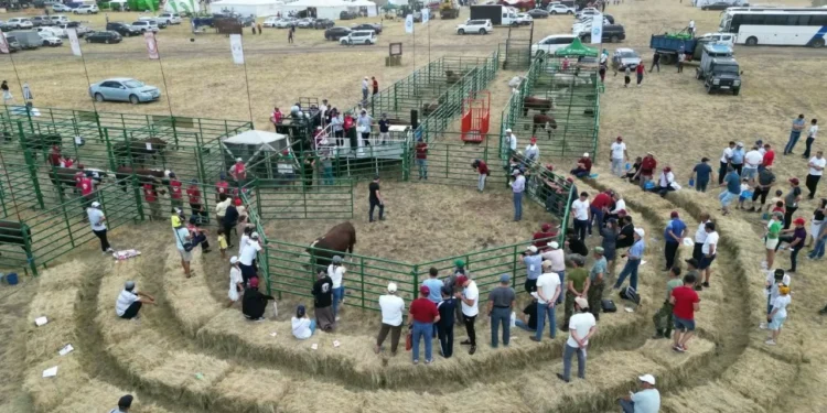 Jańa Dala-2025 соберет фермеров со всего мира