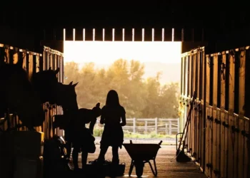 В Костанайской области часть агрофирм оказались “мертвыми душами”