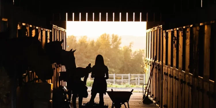 В Костанайской области часть агрофирм оказались “мертвыми душами”