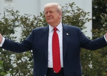Трамп оценил результаты встречи Путина и Уиткоффа
