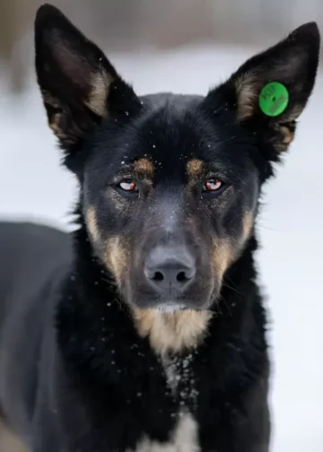 Депутаты хотят вернуть Казахстан в прошлое: петиция не помогла