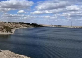 Казахстанские ученые запустят проект биочистки Кенгирского водохранилища