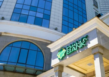 Глава Halyk Bank выступила против создания фонда по спасению банков