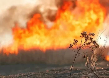 Двое суток боролись с масштабным пожаром в горах Ушконыр